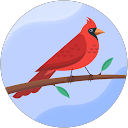 Vighnesh SS profile picture